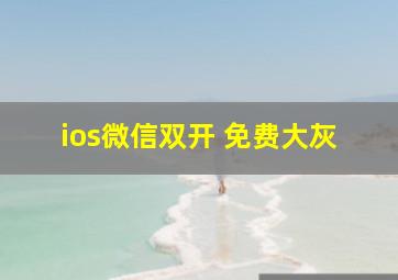 ios微信双开 免费大灰